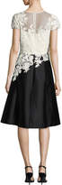 Thumbnail for your product : Rickie Freeman For Teri Jon Cap-Sleeve Lace & Taffeta Fit-and-Flare Cocktail Dress, White/Black