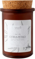 Thumbnail for your product : Urban Re-Leaf #23 Citrus Petals Coconut Wax Candle