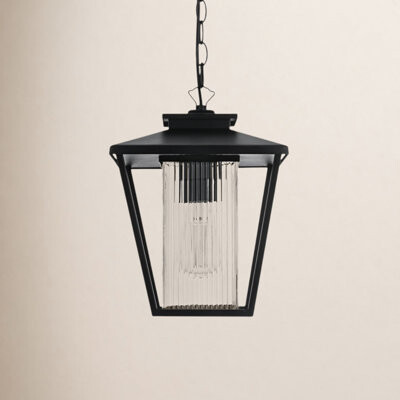 Joss & Main Shannen 10 Inch Outdoor Pendant in Black