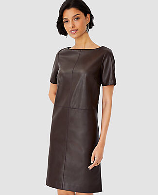 Ann Taylor Seamed Faux Leather Shift Dress