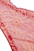 Thumbnail for your product : Mimi Holliday Leavers Lace, Satin And Tulle Soft-Cup Bra