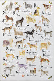 Trinx Dog Alphabet by Melissa Wang a Hand Embelished Textured Canvas