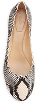 Thumbnail for your product : Chloé Lauren Python-Embossed Leather Ballet Flats