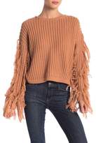 Thumbnail for your product : Pink Owl Shaggy Arms Tassel Sweater