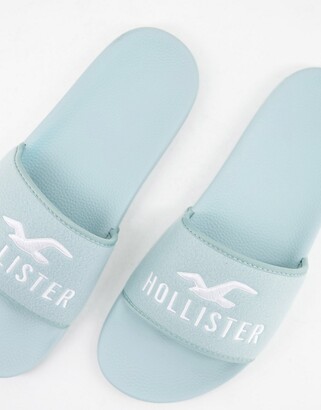 hollister shoes