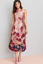 Thumbnail for your product : Next Womens Pink Jacquard Border Print Dress