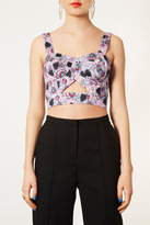 Thumbnail for your product : Topshop Panther Print Bralet
