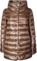 Thumbnail for your product : Herno Button-Up Padded Jacket