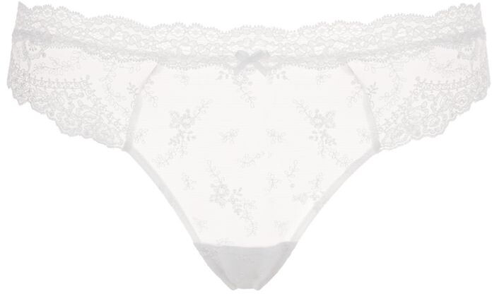 Aubade Sheer Embroidered Briefs - ShopStyle Panties