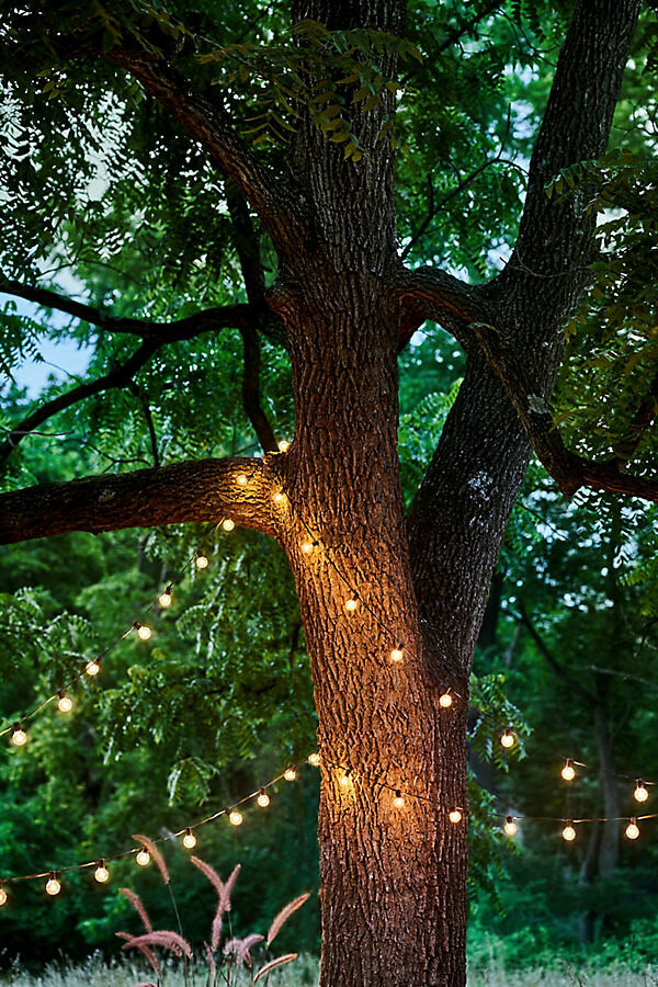 Stargazer Garden Lights Set of 21 Bulbs