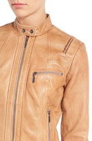 Thumbnail for your product : Bernardo Women's Kirwin Leather Moto Jacket