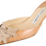 Thumbnail for your product : Manolo Blahnik Mules