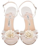 Thumbnail for your product : Manolo Blahnik Floral T-Strap Sandals
