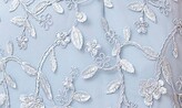 Thumbnail for your product : Adrianna Papell Embroidered Column Gown