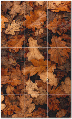 Picture-Tiles.com Autumn Photo 12'' x 12'' Satin Ceramic Decorative Mural