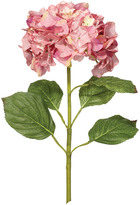Thumbnail for your product : OKA Faux Mop Head Hydrangea Stem