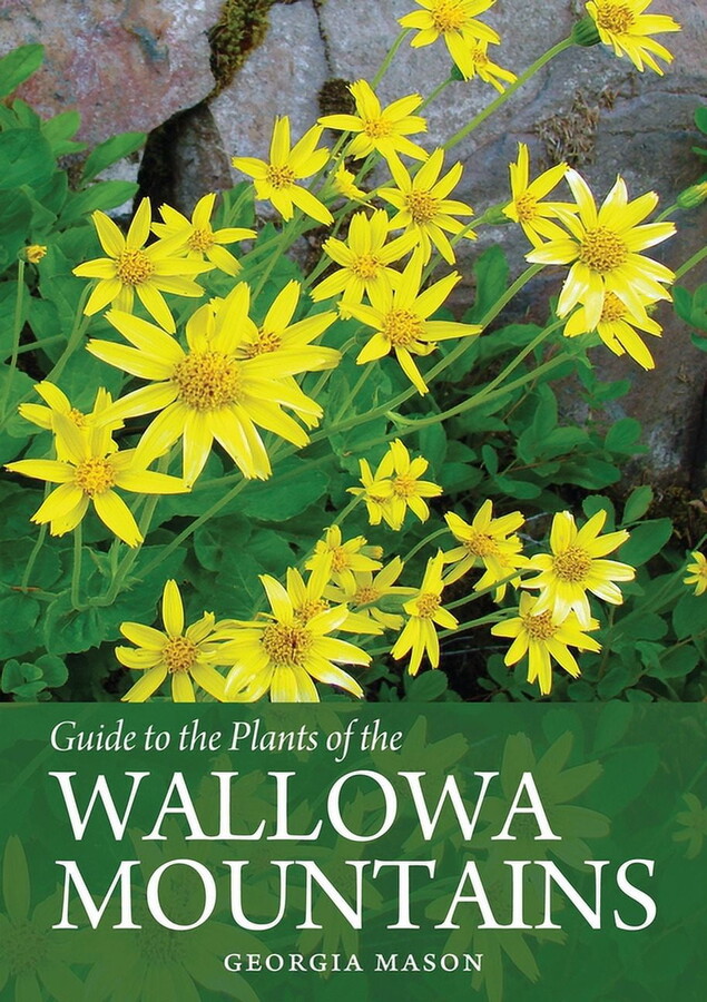 Guide to the Plants of the Wallowa Mountains of Northeastern Oregon (Paperback)