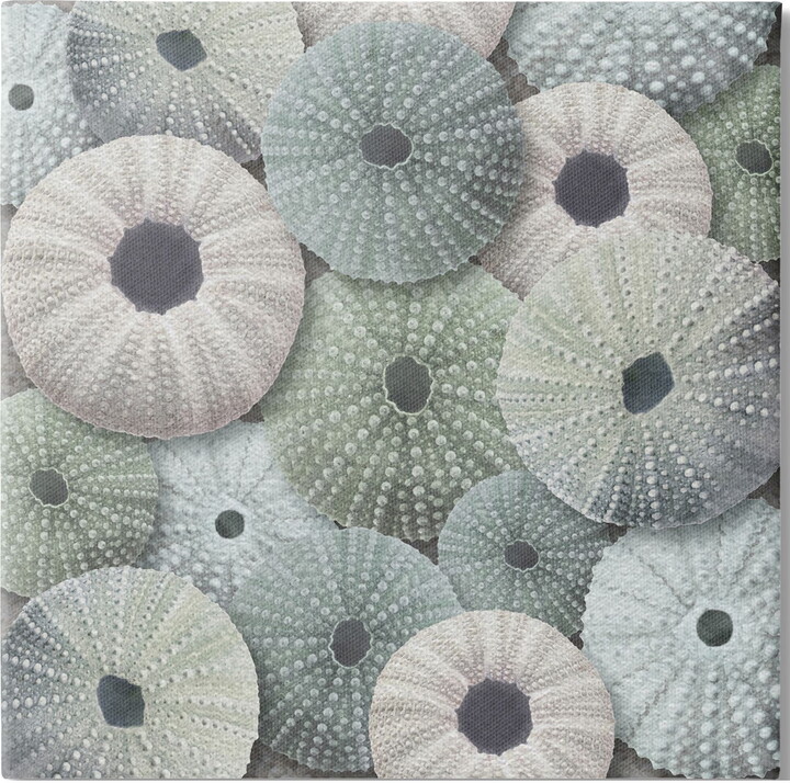 Stupell Industries Abstract Sea Urchins Nature Painting Gallery Wrapped Canvas Print Wall Art, 24 x 24