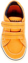 Thumbnail for your product : Sperry Halyard Velcro Strap Sneaker - Wide Width Available (Toddler & Little Kid)
