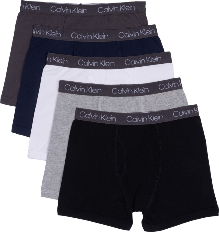 Calvin Klein Boys' Kids Modern Cotton Assorted Briefs Underwear, Multipack,  Blue and Grey Stripe, Blue Bell, Heather Grey, 16-18 : : Clothing,  Shoes & Accessories