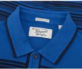 Thumbnail for your product : Penguin Short Sleeved Engineered Polo Colour: DARK SAPPHIRE, Size: SMA