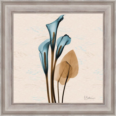 Latitude Run Calla Lily Blue Brown by Albert Koetsier - Single Picture Frame Graphic Art
