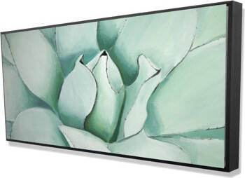 Begin Edition International Inc. \