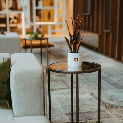 FOREVER LEAF 17'' Artificial Snake Plant