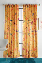 Anthropologie Curtains Shopstyle
