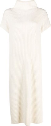 Polo Ralph Lauren Ribbed High-Neck Midi Dress