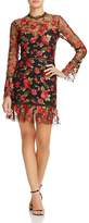 Thumbnail for your product : Saylor Rose Embroidered Dress