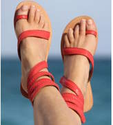 Thumbnail for your product : Aspiga Coral Cannes Flat Leather Ankle Wrap Sandals