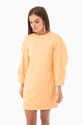 tibi shift dress
