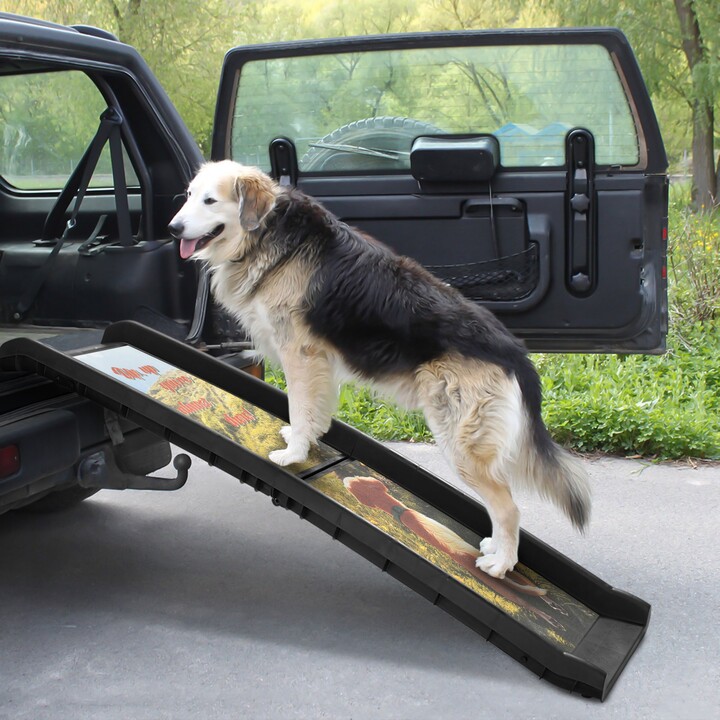 coziwow 62-in Foldable Dog Car Ramp, Multicolored