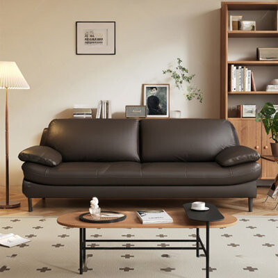 Hokku Designs Modern Minimalist Two-seater Sofa