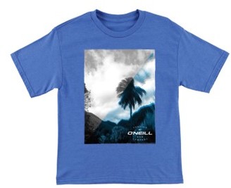 O'Neill Boy's Valley Graphic T-Shirt