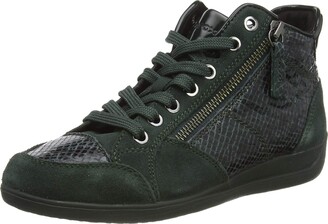 d and c trainers