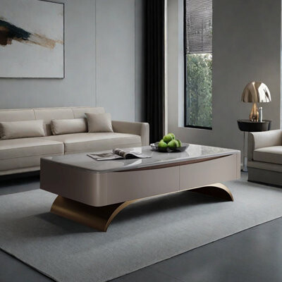 Wu's StylishVault Light luxury minimalist design coffee table