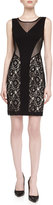 Thumbnail for your product : Laundry by Shelli Segal Mesh Lace Illusion Dress, Black/Nude