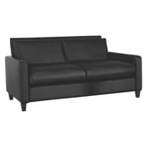 Thumbnail for your product : CHESTER leather 2 seater sofa, dark feet