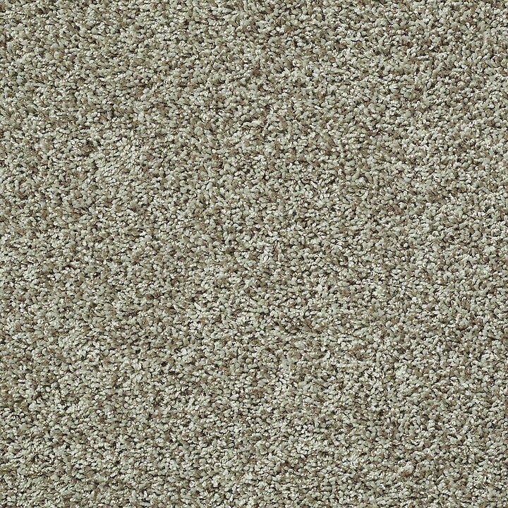 TrafficMaster 8 in. x 8 in. Twist Carpet Sample - Charming - Color Salad