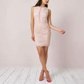 Thumbnail for your product : River Island Womens Nude lace sleeveless bodycon mini dress