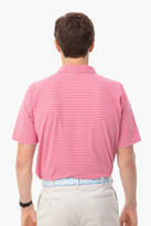 Thumbnail for your product : Gents B Draddy Bandana Tommy Polo