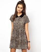 Thumbnail for your product : Motel Beatrix Collar Shift Dress in Leopard