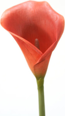 Distinctive Designs 31" Calla Lily With Thick Stem Dark Rust