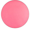 Thumbnail for your product : M·A·C Pro Longwear Blush (Pro Palette Refill Pan)