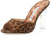 Thumbnail for your product : Manolo Blahnik Astuta Suede Clear-Heel Slide Sandal, Leopard