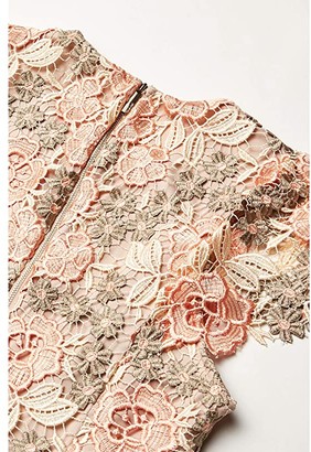 Calvin Klein Short Sleeve Lace Sheath Dress (Peach/Blossom/Khaki) Women's Dress