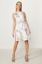Thumbnail for your product : Coast Cotton Fit And Flare Dress