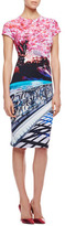 Thumbnail for your product : Mary Katrantzou Elay Blossom-Print Jersey Short-Sleeve Dress